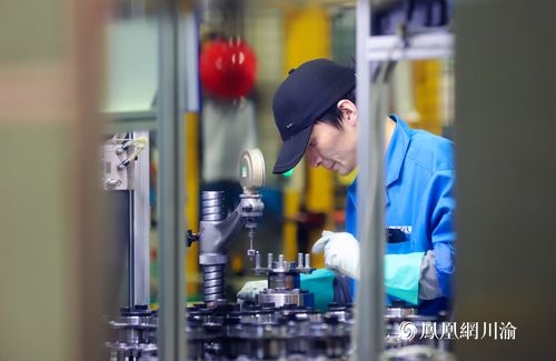 長(zhǎng)江軸承 以技術(shù)硬實(shí)力撬動(dòng)全球市場(chǎng)縫隙，打造國(guó)際化品牌新標(biāo)桿